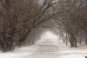 Winter Blizzard Road